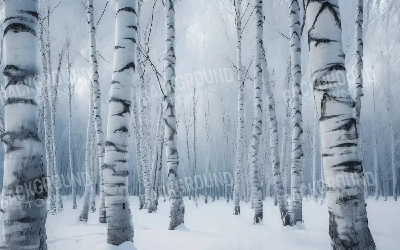 Birch Snow I 8’X5’ Ultracloth (96 X 60 Inch) Backdrop