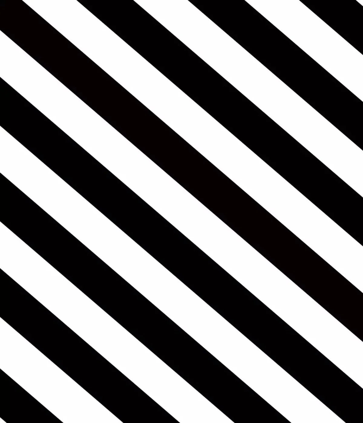 Black And White 10X12 Ultracloth ( 120 X 144 Inch ) Backdrop