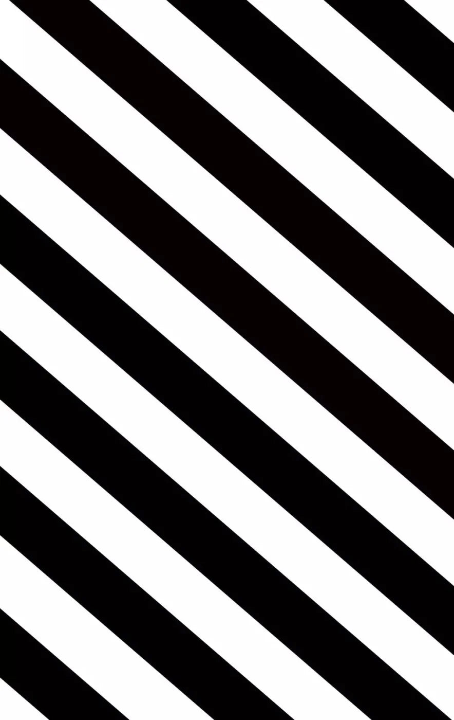 Black And White 10X16 Ultracloth ( 120 X 192 Inch ) Backdrop