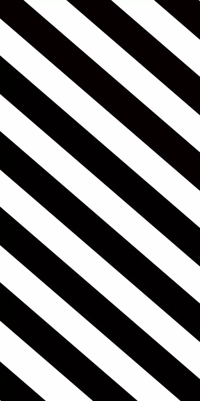 Black And White 10X20 Ultracloth ( 120 X 240 Inch ) Backdrop