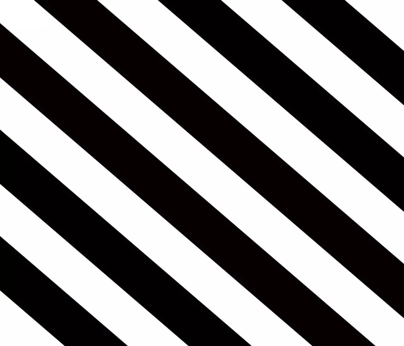Black And White 12X10 Ultracloth ( 144 X 120 Inch ) Backdrop
