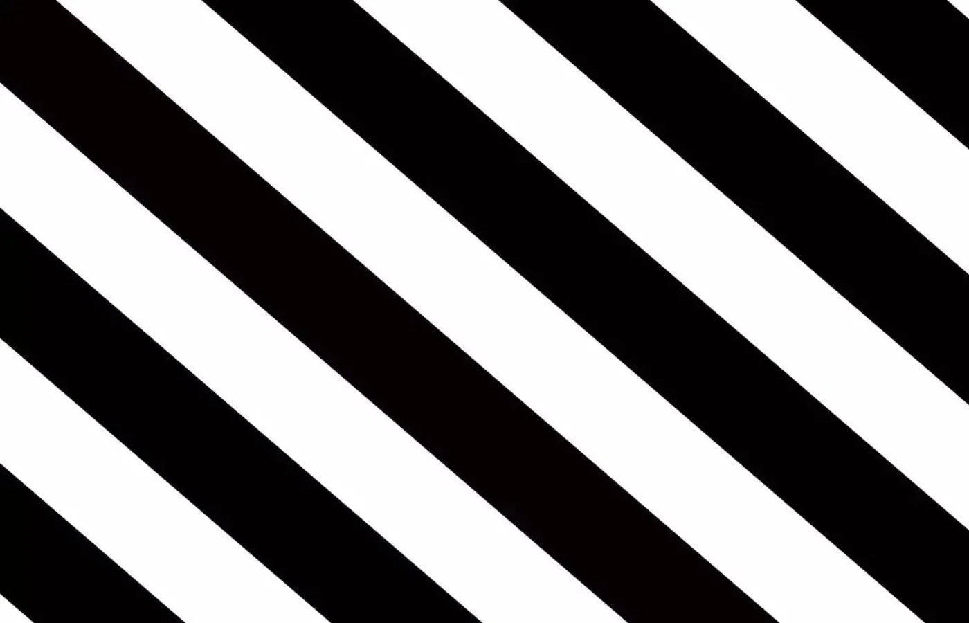 Black And White 12X8 Ultracloth ( 144 X 96 Inch ) Backdrop