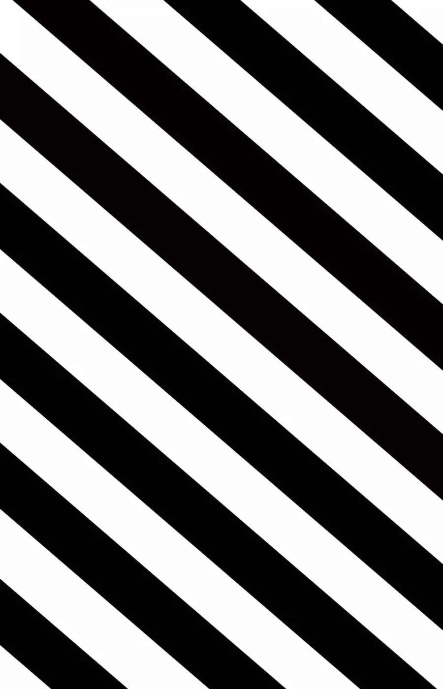 Black And White 8X12 Ultracloth ( 96 X 144 Inch ) Backdrop