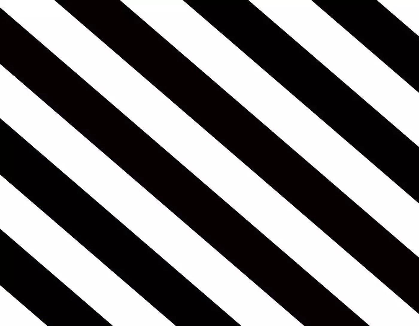 Black And White 8X6 Fleece ( 96 X 72 Inch ) Backdrop