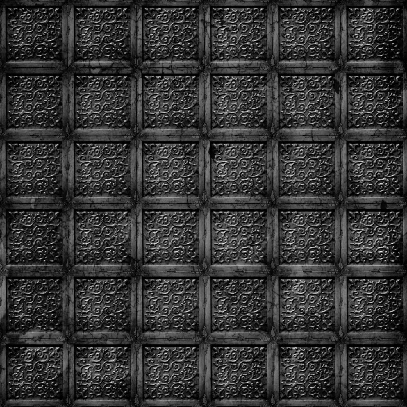 Blacktin 10X10 Ultracloth ( 120 X Inch ) Backdrop