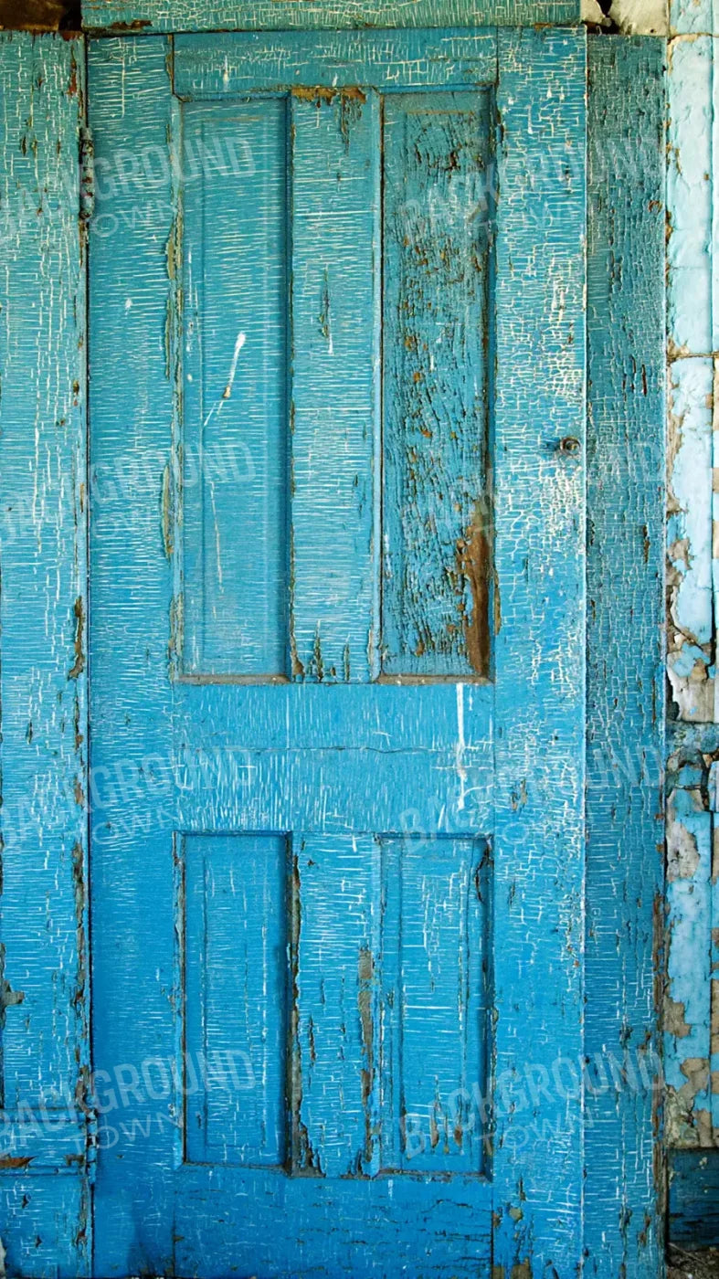 Blue Door Blues 8X14 Ultracloth ( 96 X 168 Inch ) Backdrop