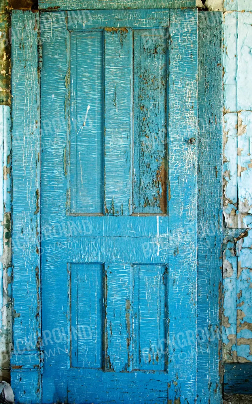 Blue Door Blues 9X14 Ultracloth ( 108 X 168 Inch ) Backdrop