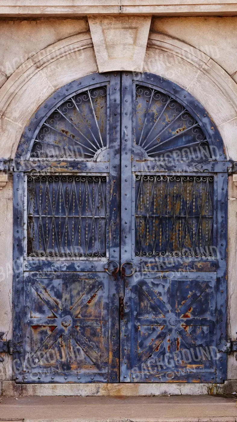 Blue Iron Doors 8X14 Ultracloth ( 96 X 168 Inch ) Backdrop