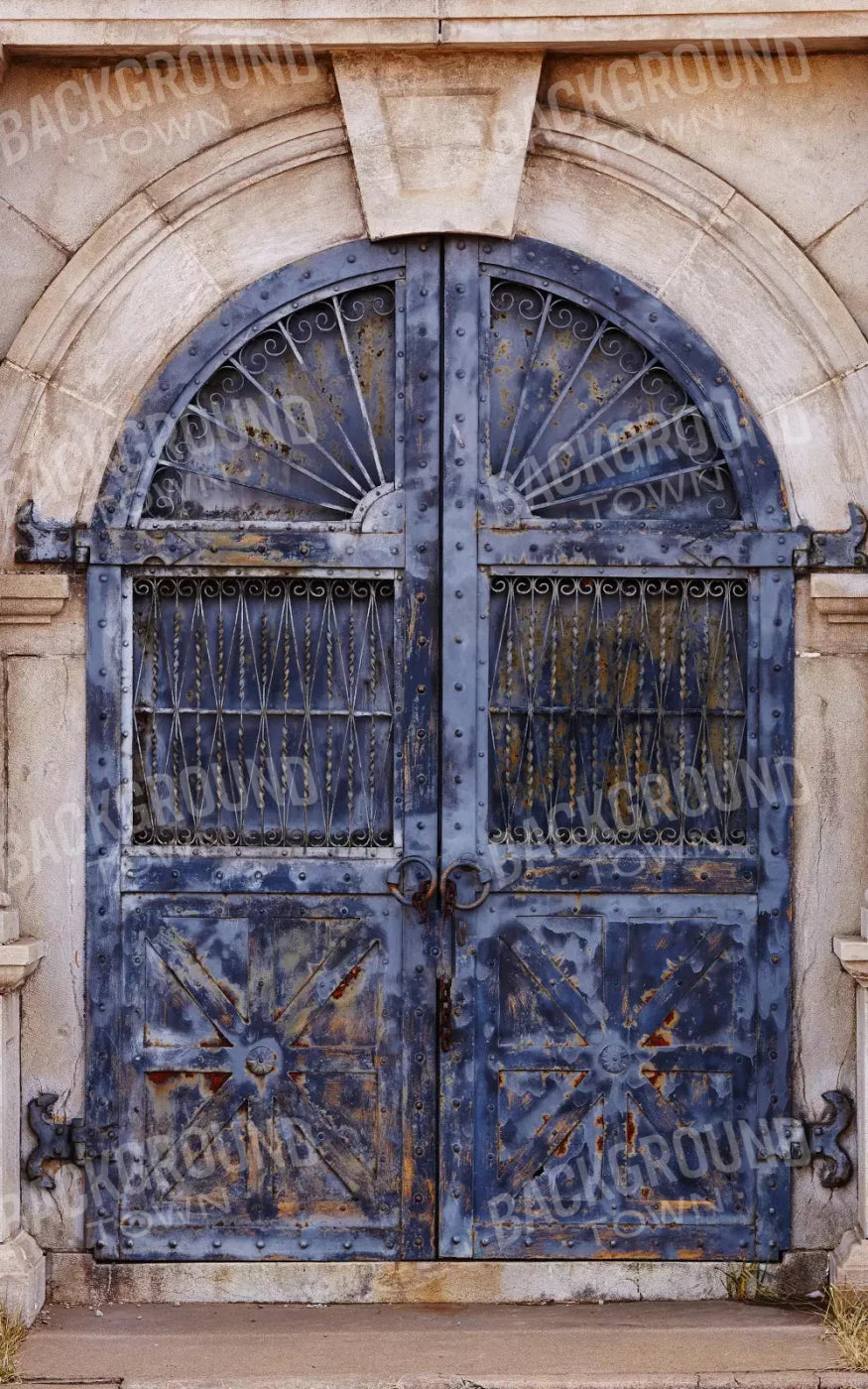 Blue Iron Doors 9X14 Ultracloth ( 108 X 168 Inch ) Backdrop