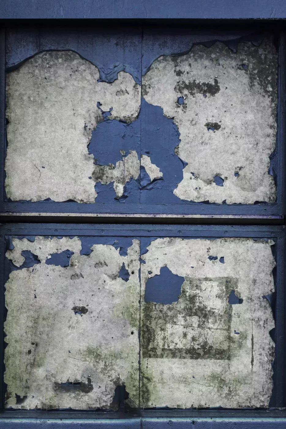 Blueberry Rum 5X76 For Lvl Up Backdrop System ( 60 X 90 Inch )