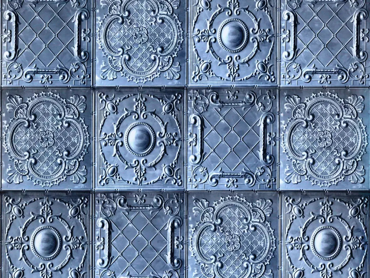 Blueboy 10X8 Fleece ( 120 X 96 Inch ) Backdrop