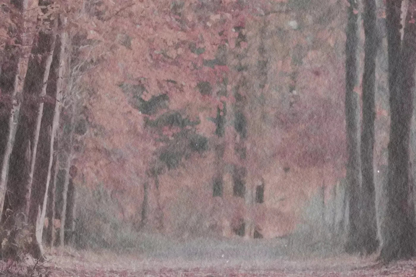Blushing Blossom Backdrop