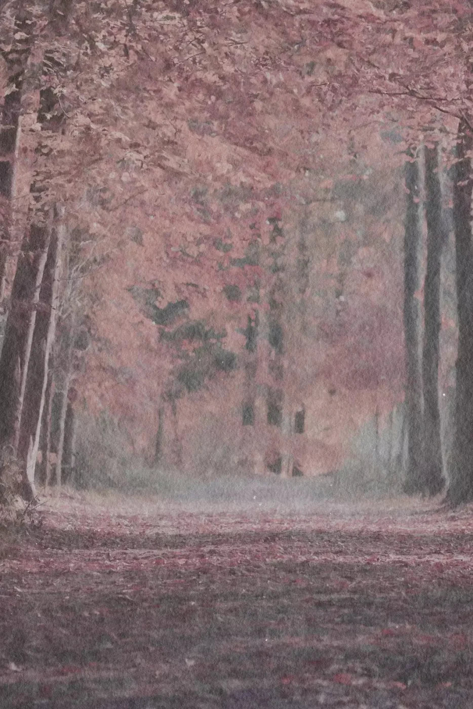 Blushing Blossom Backdrop