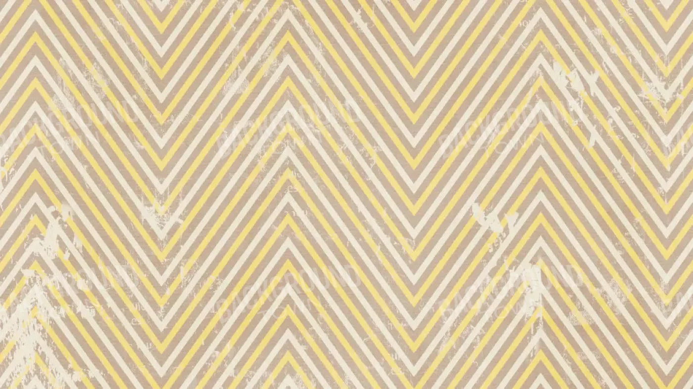 Bobbie 14X8 Ultracloth ( 168 X 96 Inch ) Backdrop