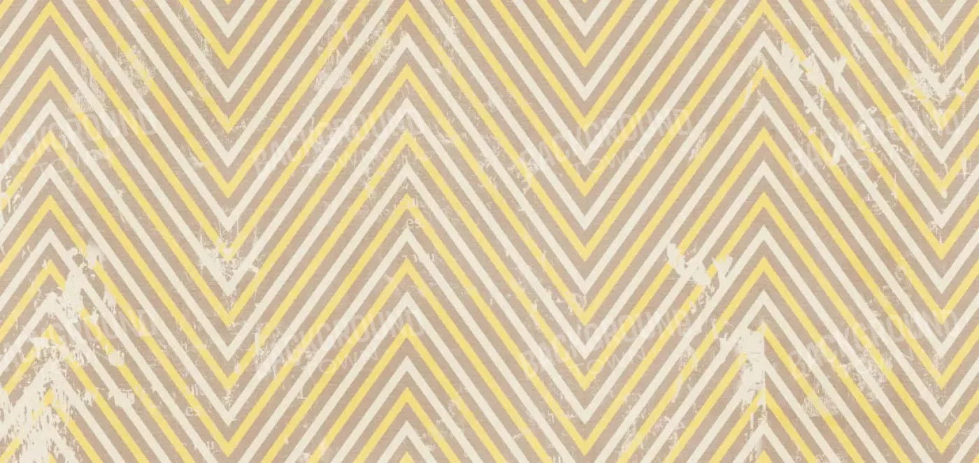 Bobbie 16X8 Ultracloth ( 192 X 96 Inch ) Backdrop