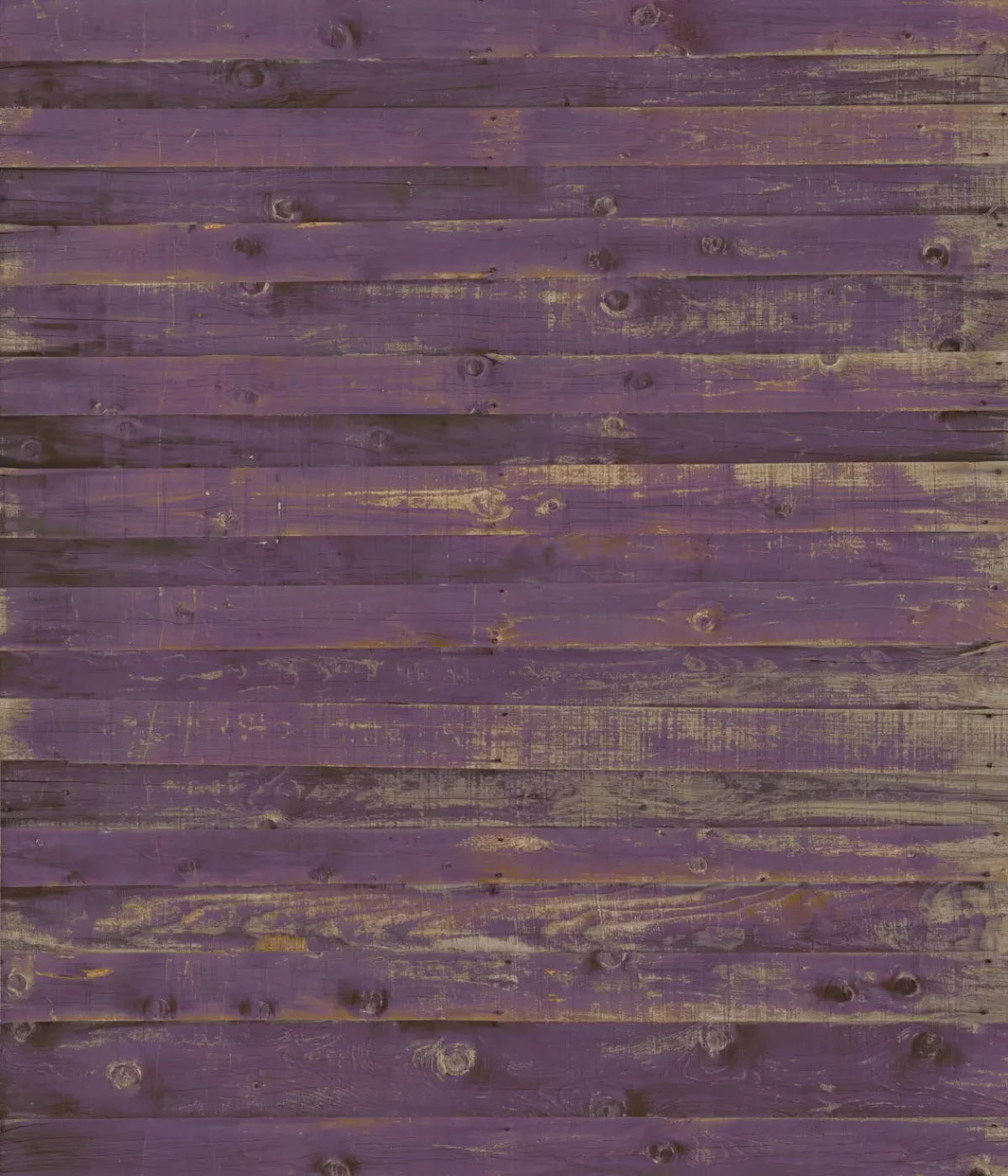 Border 10X12 Ultracloth ( 120 X 144 Inch ) Backdrop