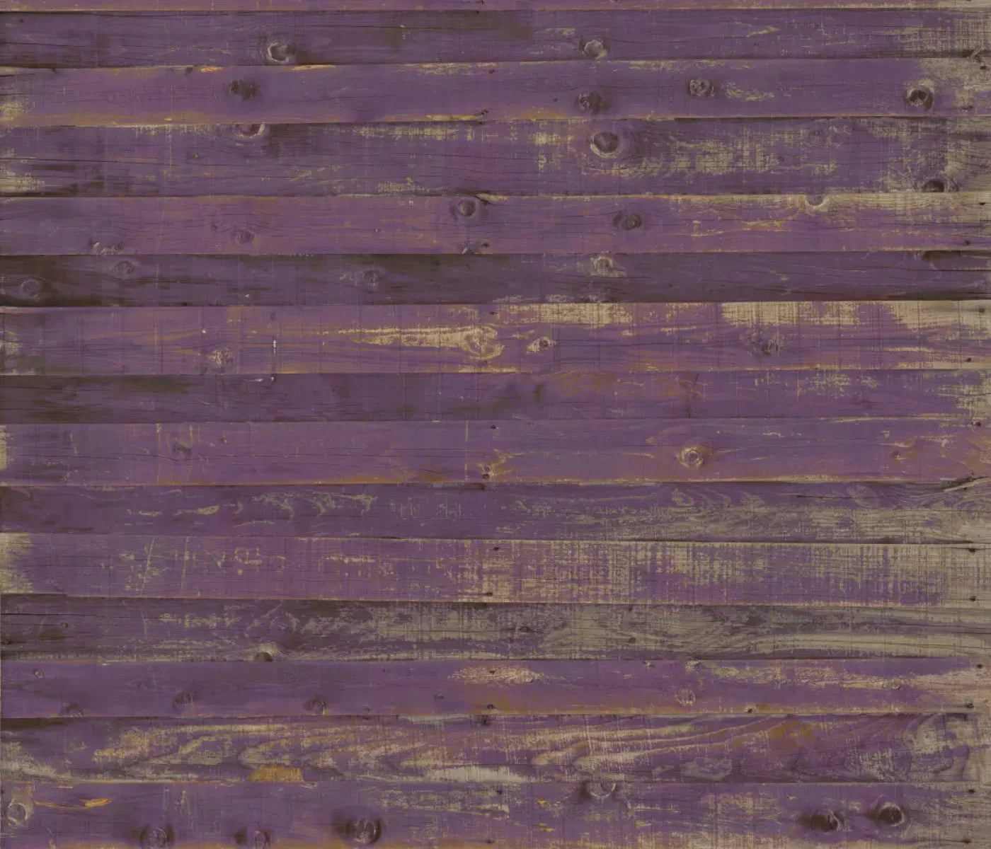 Border 12X10 Ultracloth ( 144 X 120 Inch ) Backdrop