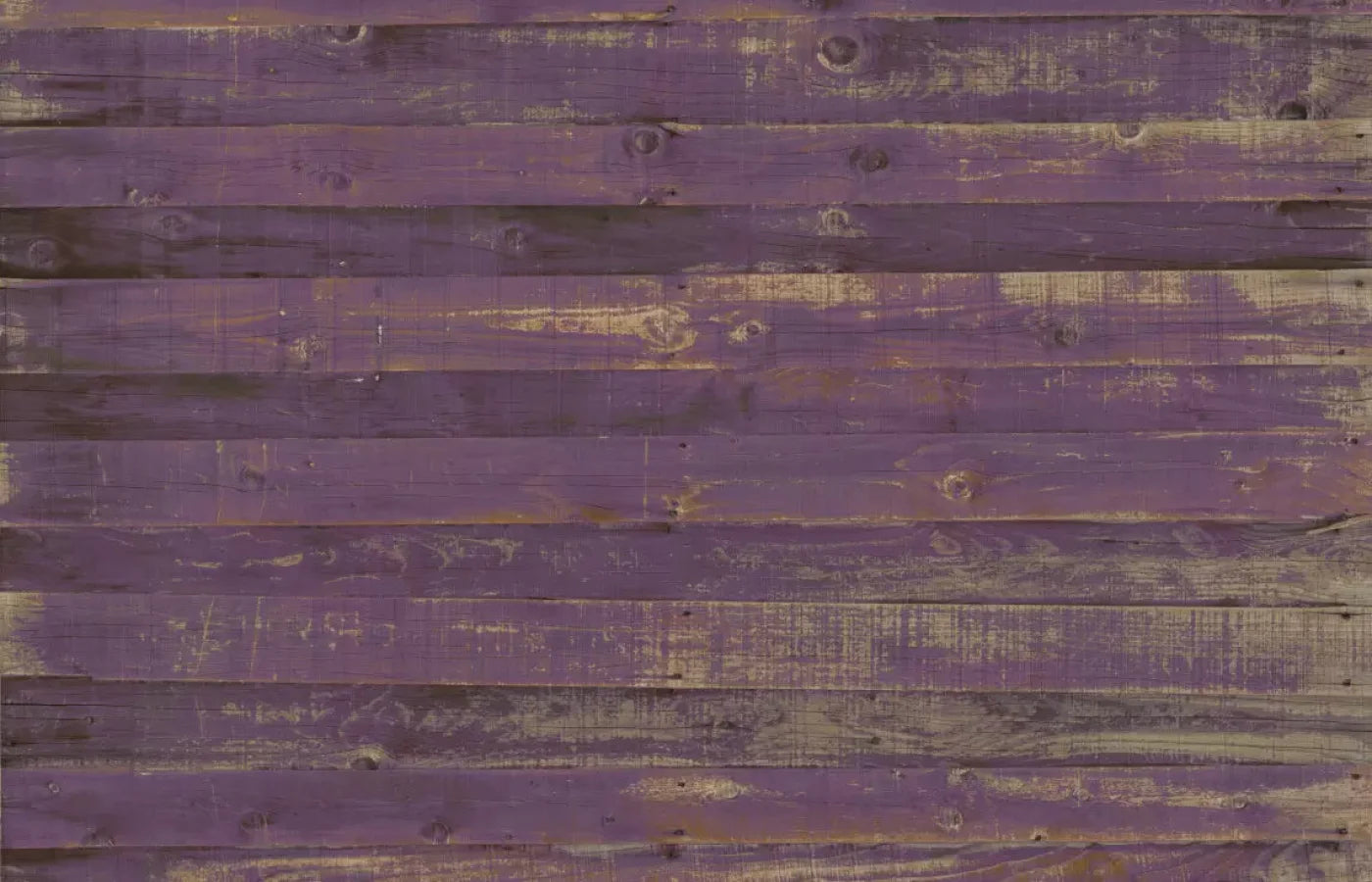 Border 12X8 Ultracloth ( 144 X 96 Inch ) Backdrop