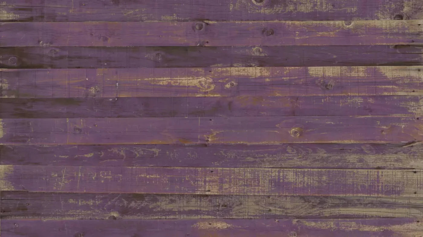 Border 14X8 Ultracloth ( 168 X 96 Inch ) Backdrop