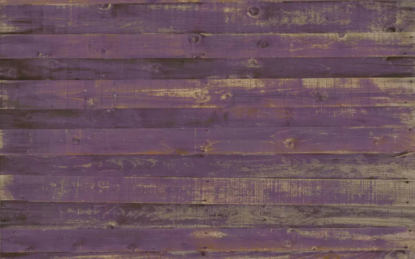 Border 14X9 Ultracloth ( 168 X 108 Inch ) Backdrop