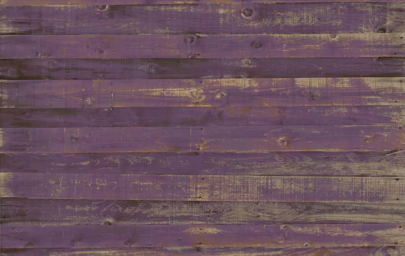 Border 16X10 Ultracloth ( 192 X 120 Inch ) Backdrop