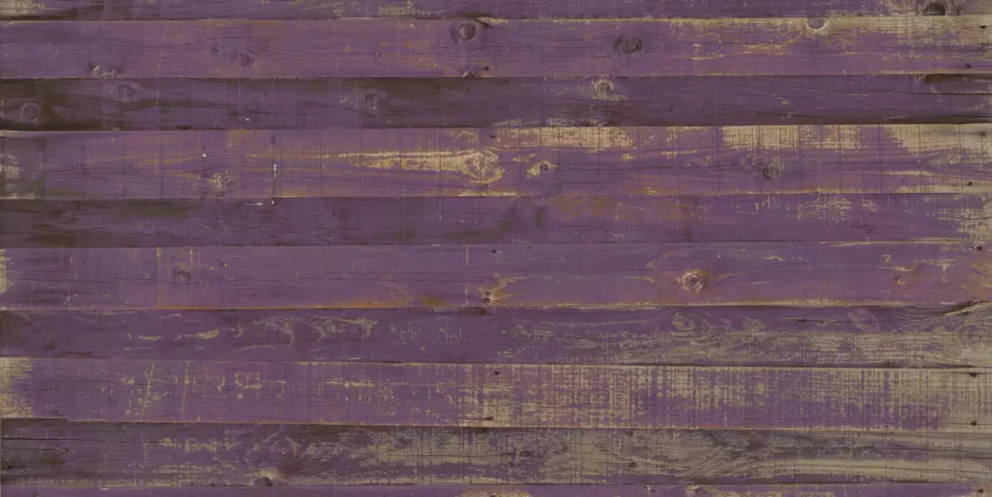Border 20X10 Ultracloth ( 240 X 120 Inch ) Backdrop