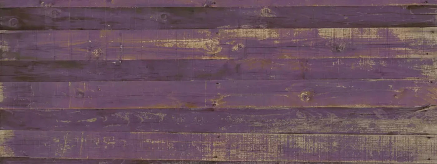 Border 20X8 Ultracloth ( 240 X 96 Inch ) Backdrop