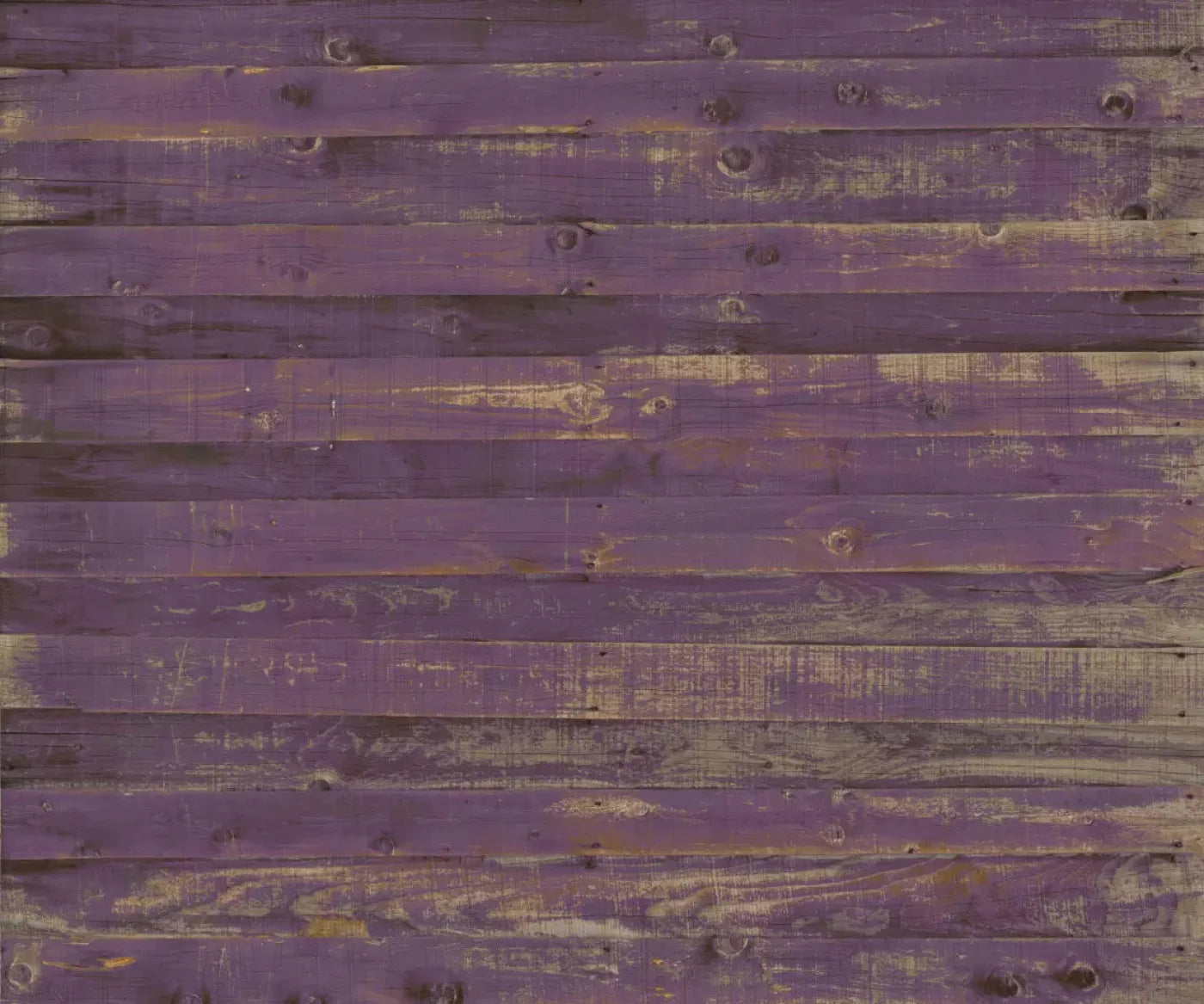 Border 5X42 Fleece ( 60 X 50 Inch ) Backdrop