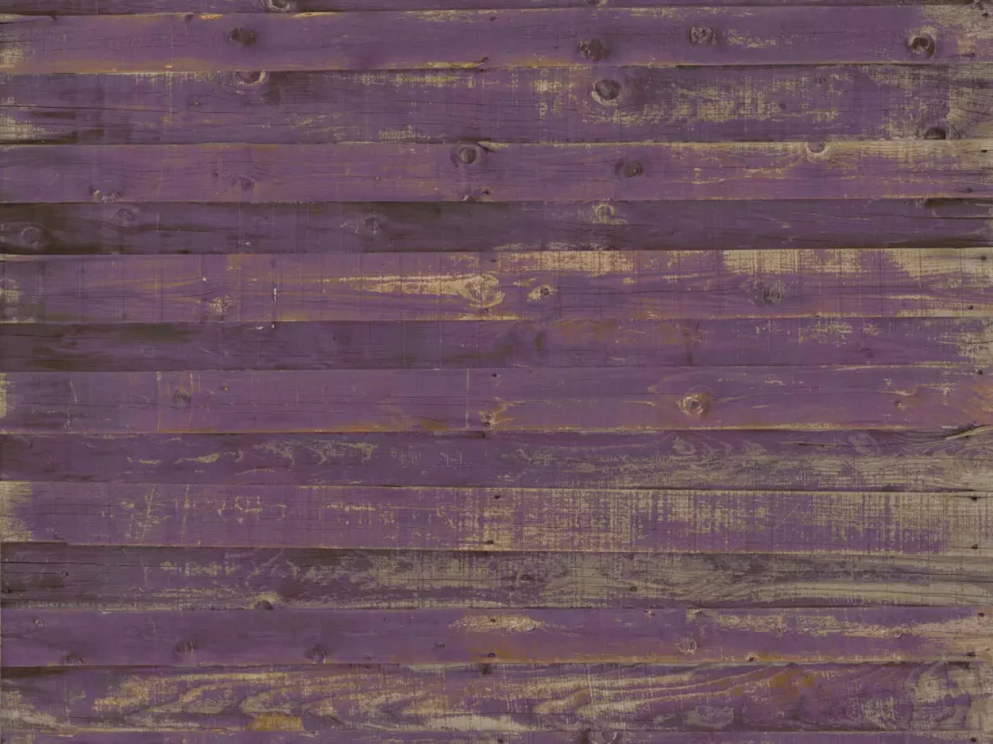 Border 68X5 Fleece ( 80 X 60 Inch ) Backdrop