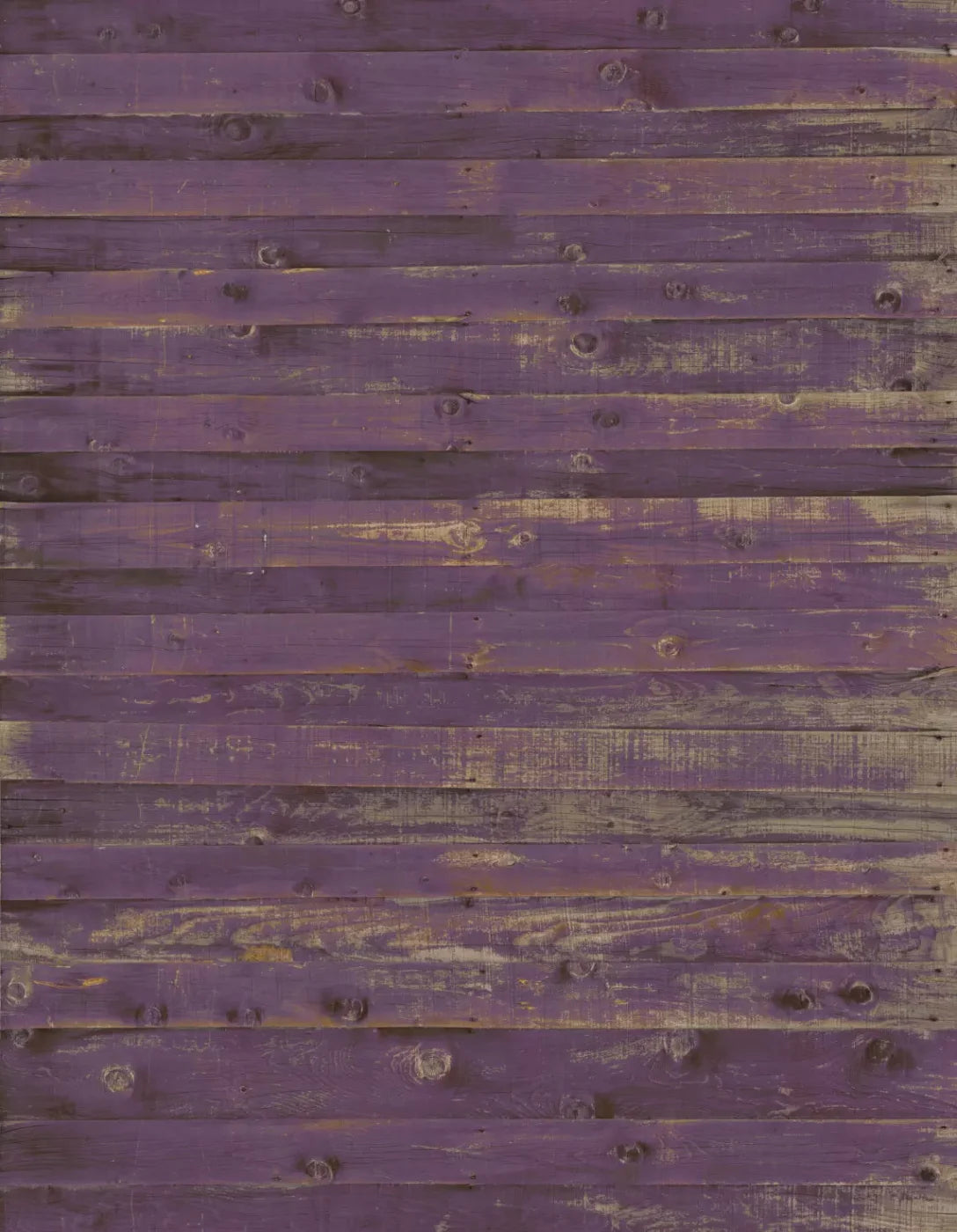 Border 6X8 Fleece ( 72 X 96 Inch ) Backdrop