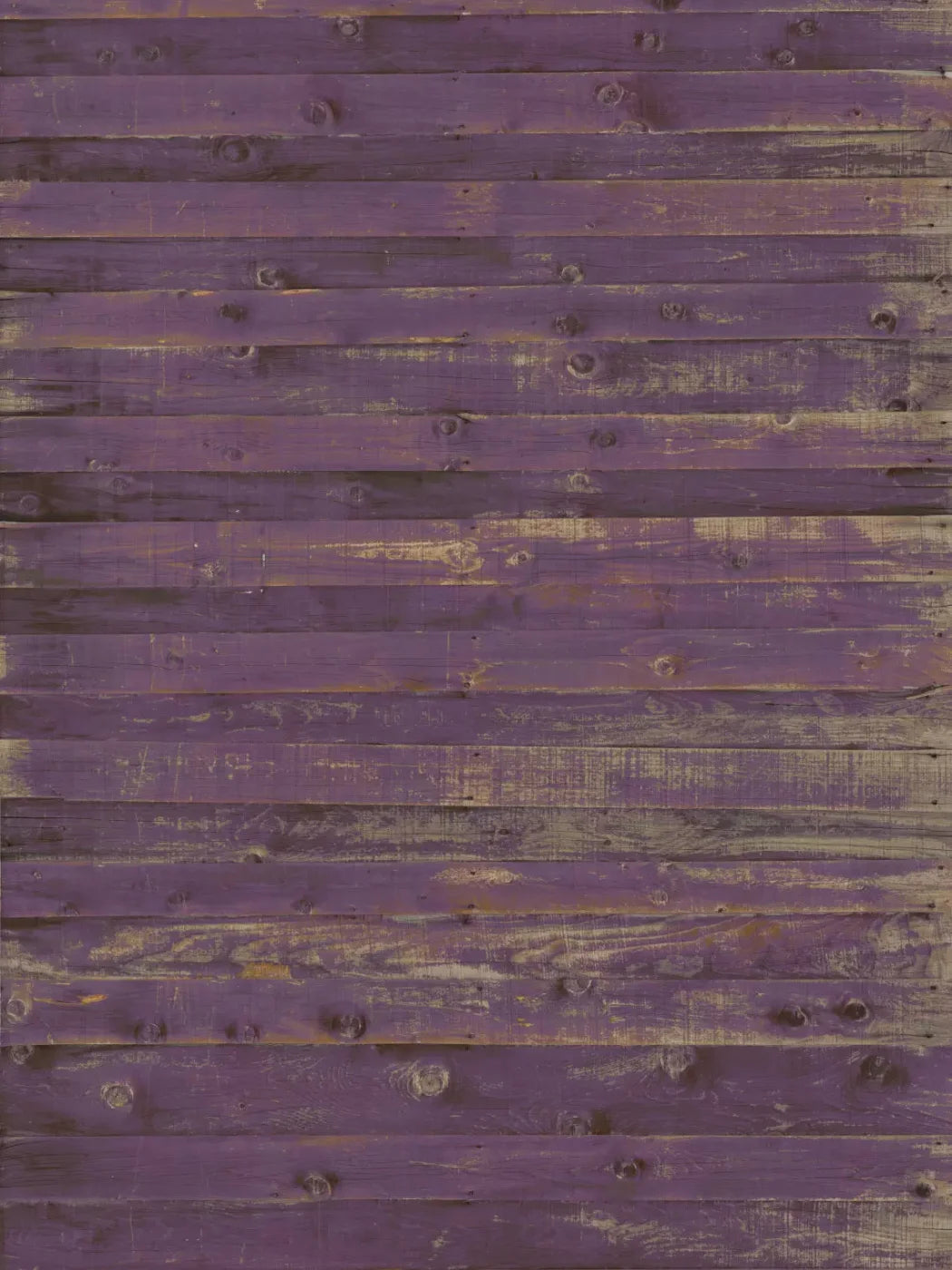 Border 8X10 Fleece ( 96 X 120 Inch ) Backdrop