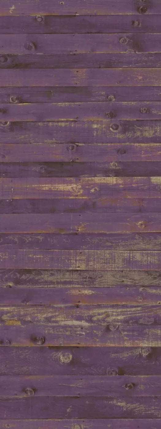 Border 8X20 Ultracloth ( 96 X 240 Inch ) Backdrop