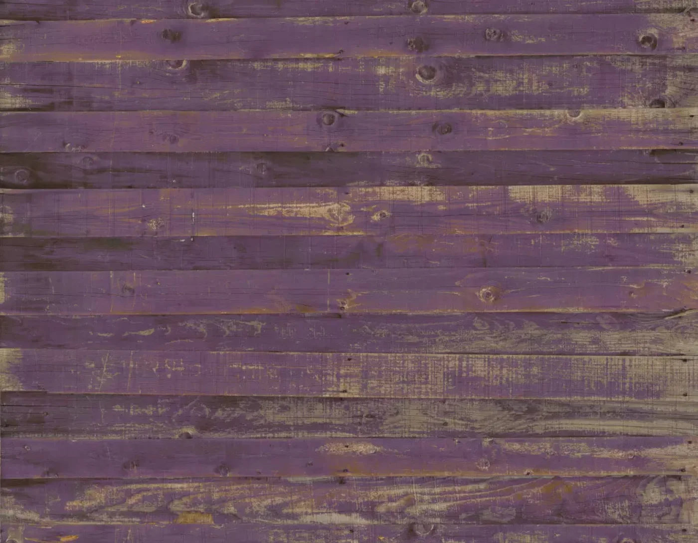 Border 8X6 Fleece ( 96 X 72 Inch ) Backdrop