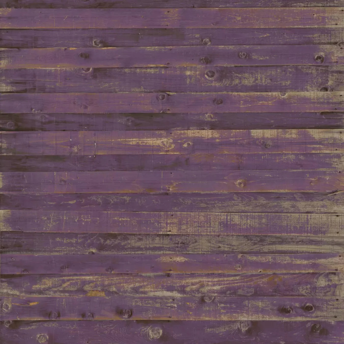 Border 5X5 Rubbermat Floor ( 60 X Inch ) Backdrop