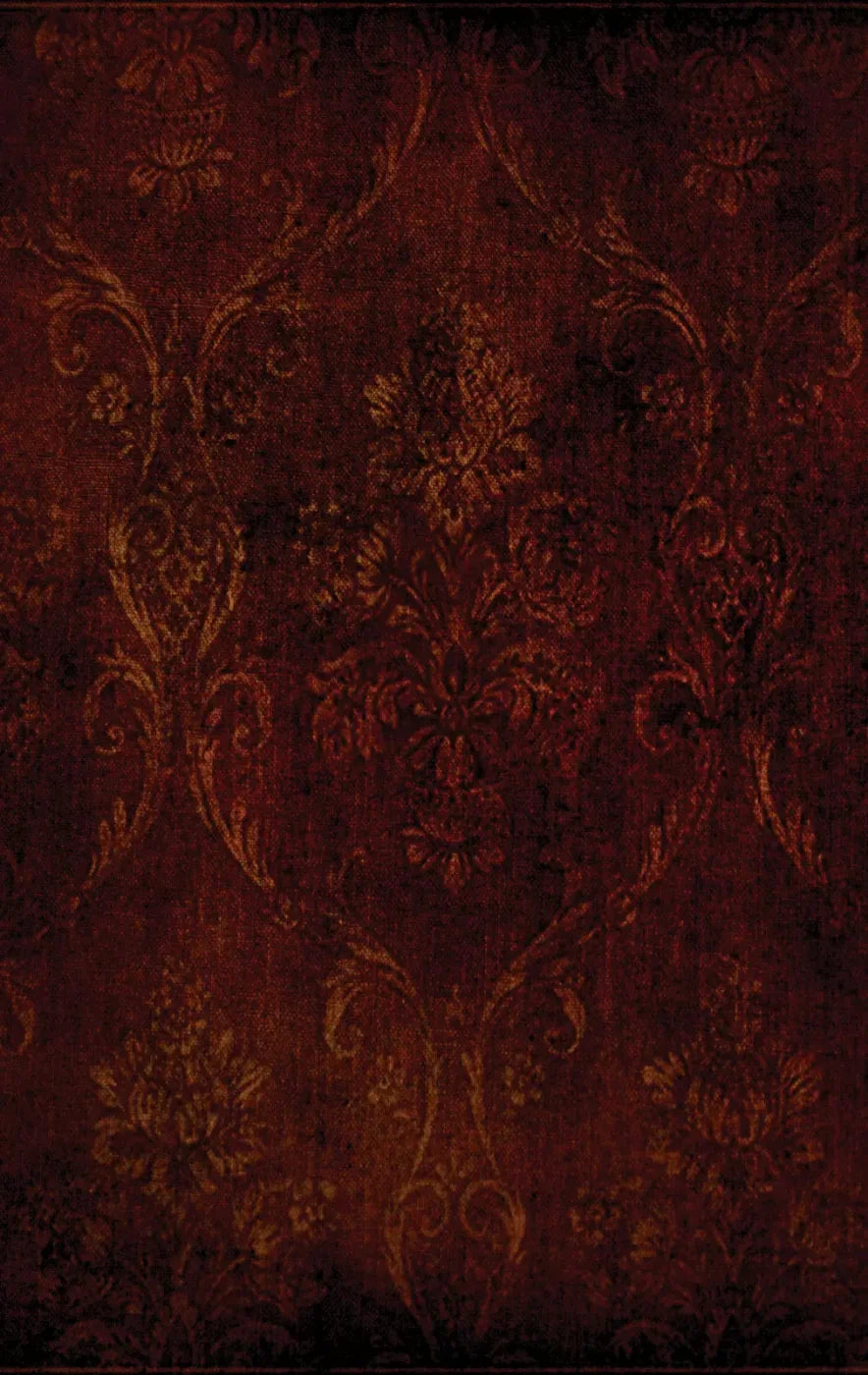 Boudoir Red 10X16 Ultracloth ( 120 X 192 Inch ) Backdrop