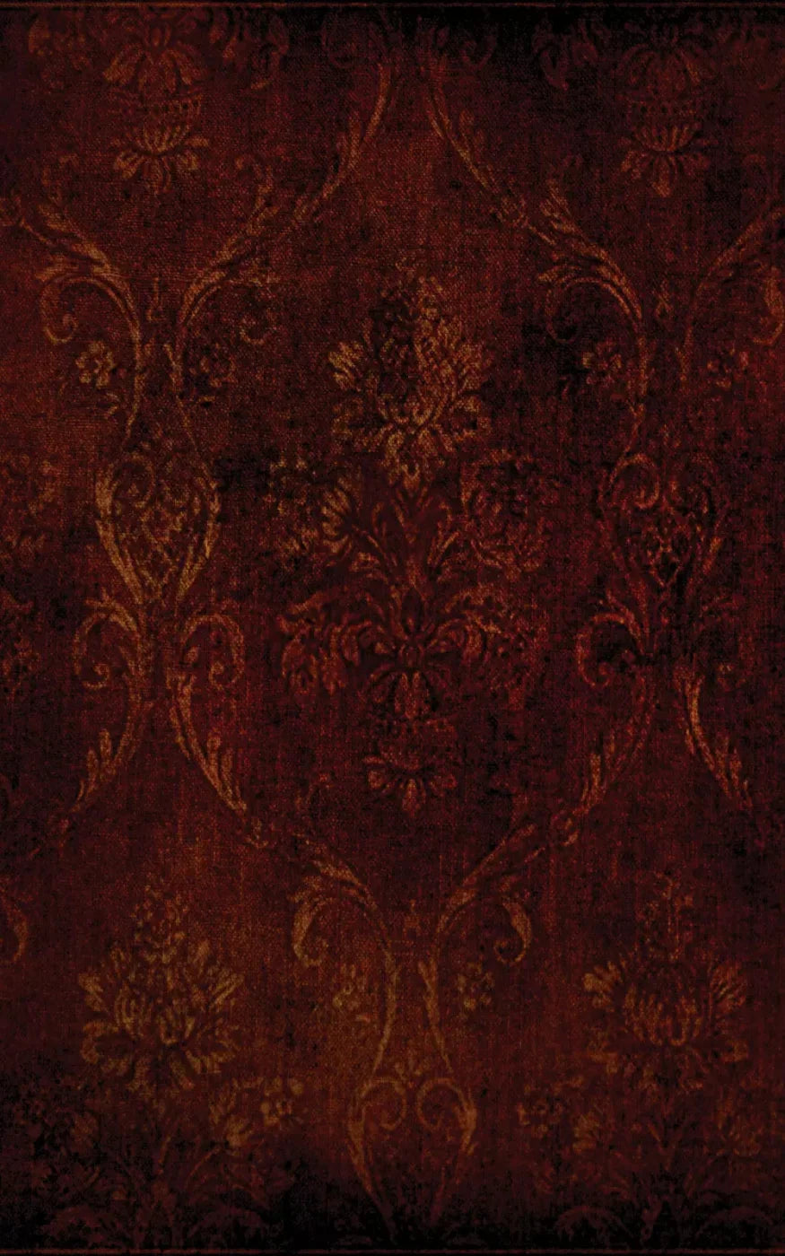 Boudoir Red 9X14 Ultracloth ( 108 X 168 Inch ) Backdrop