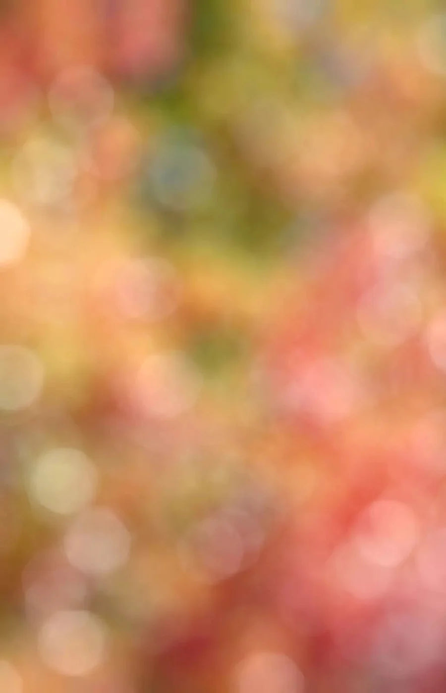 Boquet 8X12 Ultracloth ( 96 X 144 Inch ) Backdrop