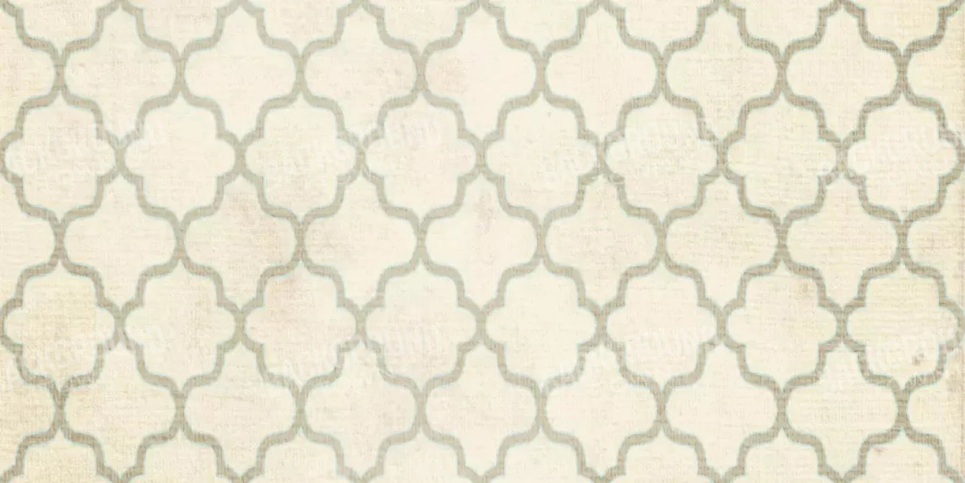 Boutique 20X10 Ultracloth ( 240 X 120 Inch ) Backdrop