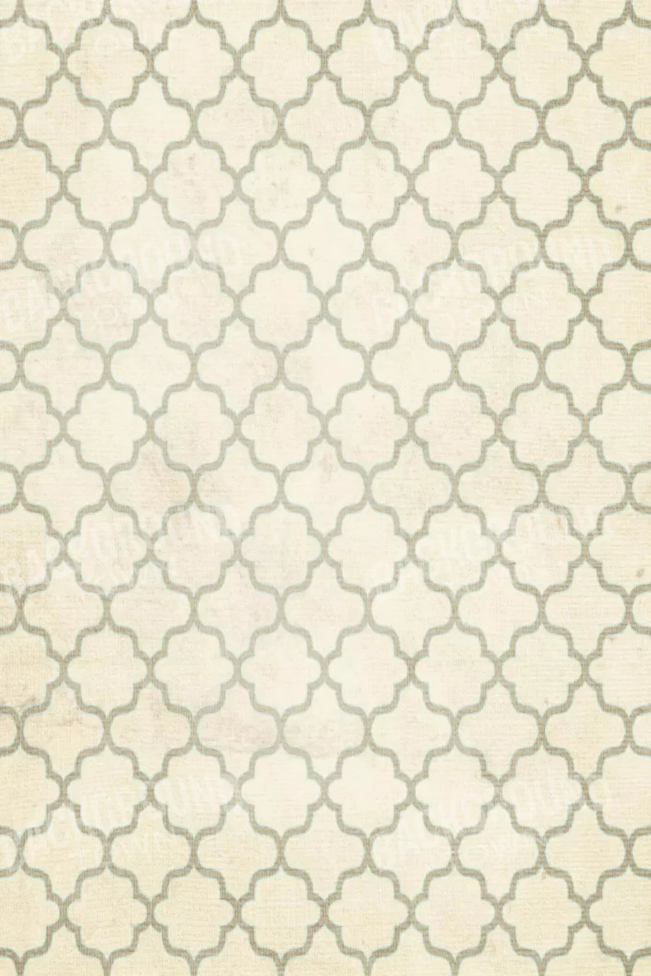 Boutique 5X8 Ultracloth ( 60 X 96 Inch ) Backdrop