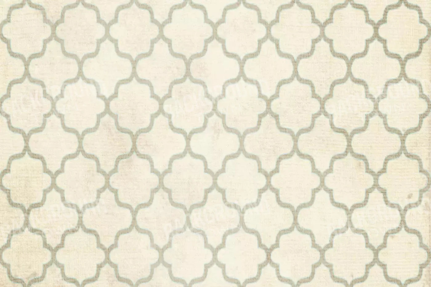 Boutique 8X5 Ultracloth ( 96 X 60 Inch ) Backdrop