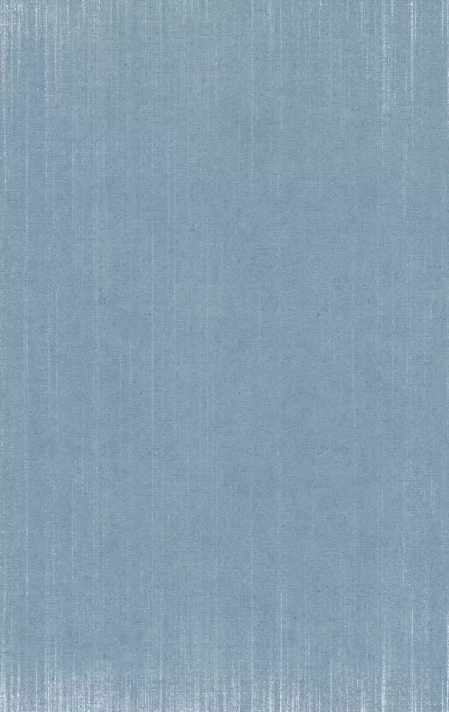 Bracken 10X16 Ultracloth ( 120 X 192 Inch ) Backdrop