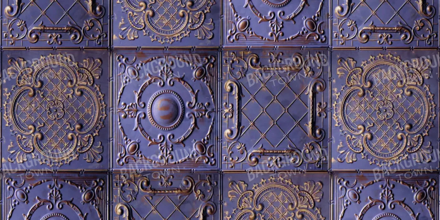 Braden 20X10 Ultracloth ( 240 X 120 Inch ) Backdrop