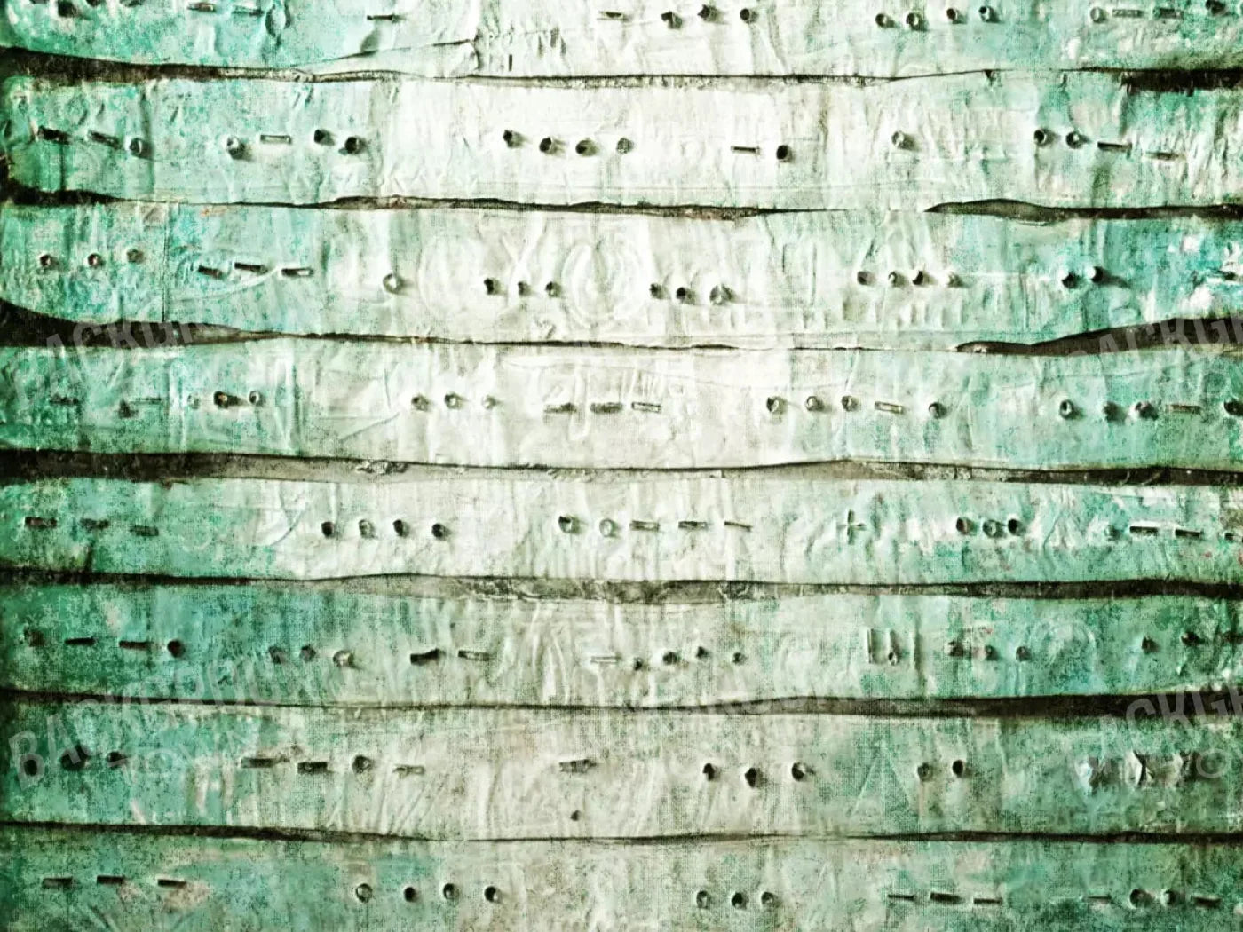 Braille 10X8 Fleece ( 120 X 96 Inch ) Backdrop
