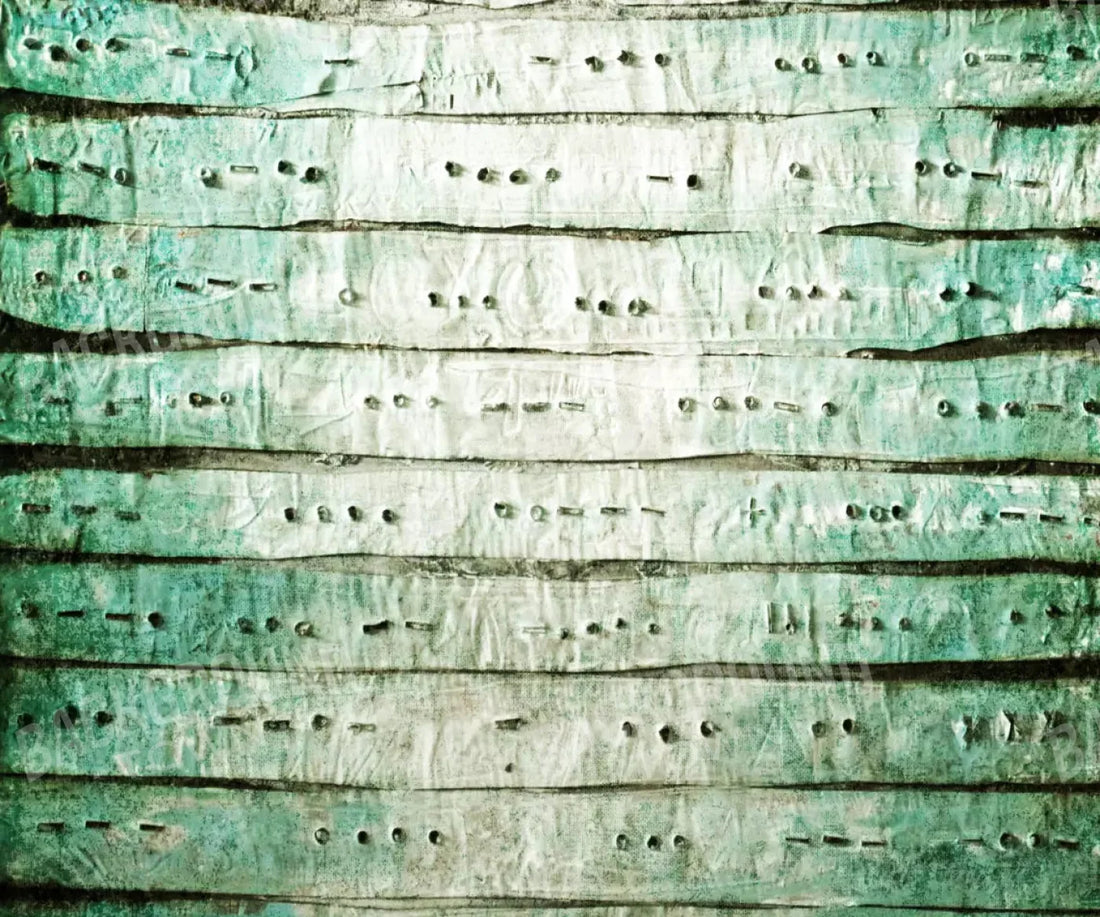 Braille 5X42 Fleece ( 60 X 50 Inch ) Backdrop