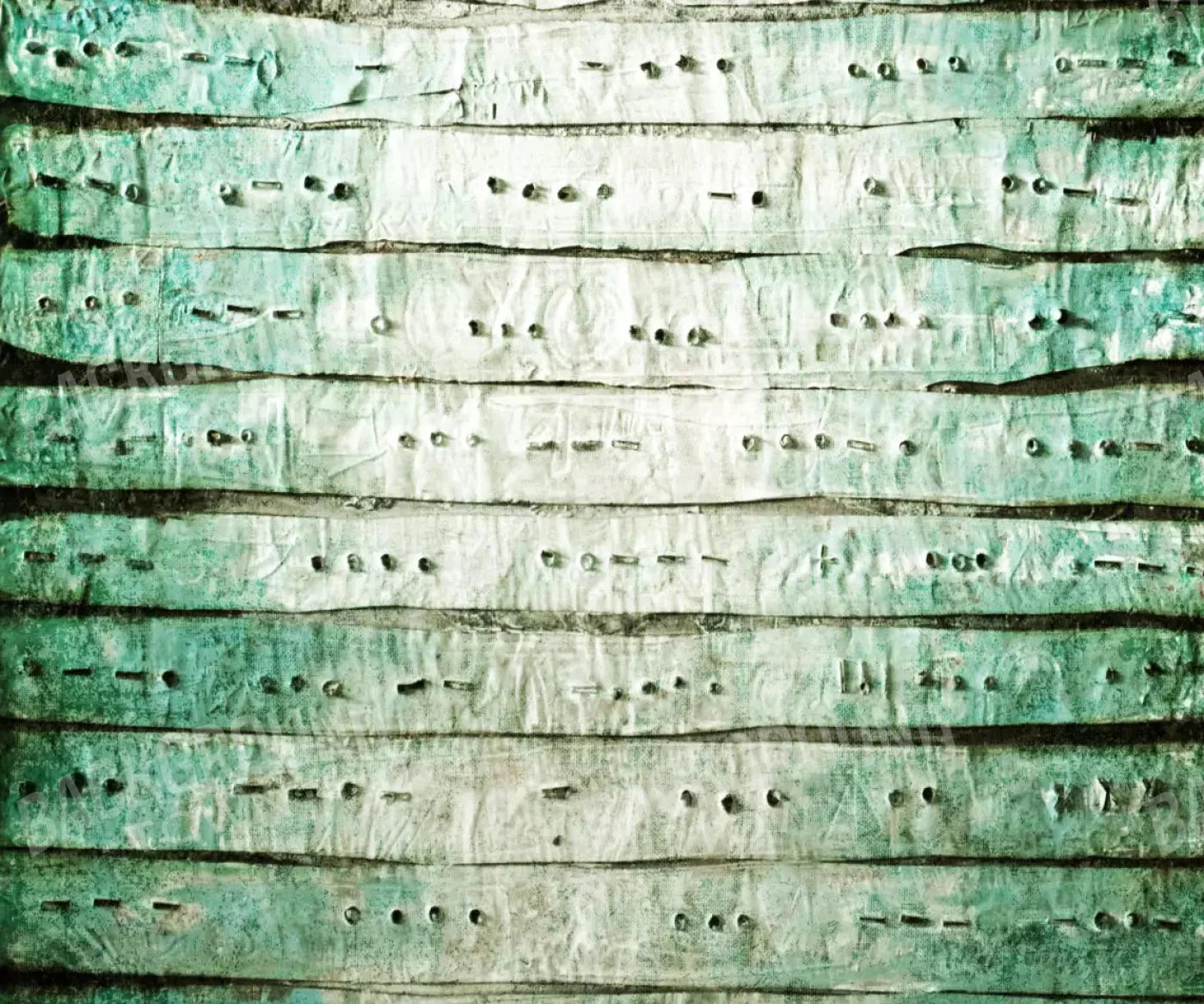 Braille 5X42 Fleece ( 60 X 50 Inch ) Backdrop