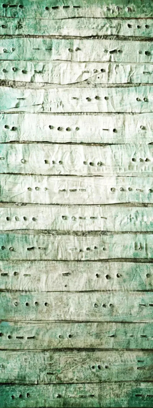 Braille 8X20 Ultracloth ( 96 X 240 Inch ) Backdrop