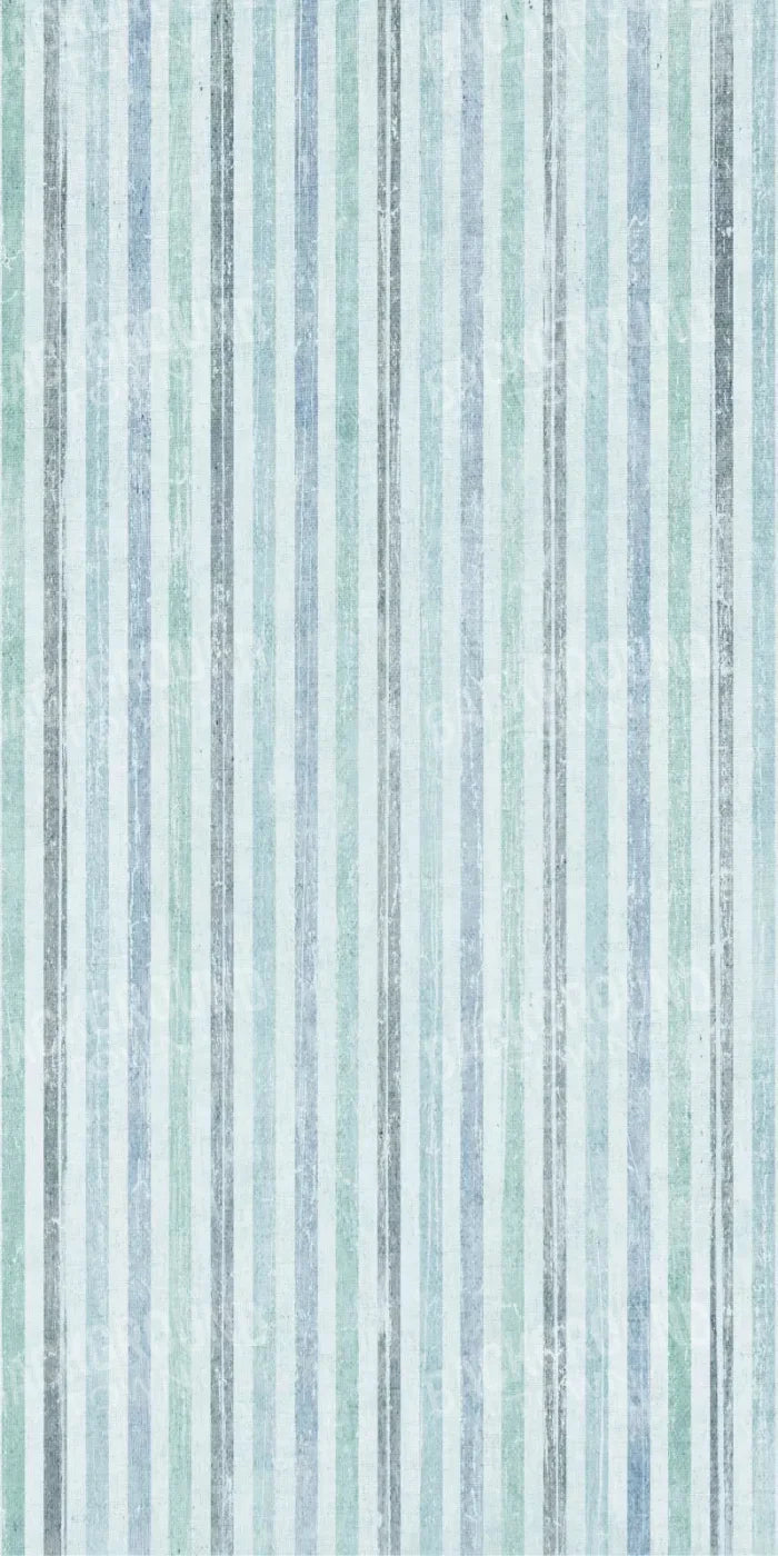 Braxton 10X20 Ultracloth ( 120 X 240 Inch ) Backdrop