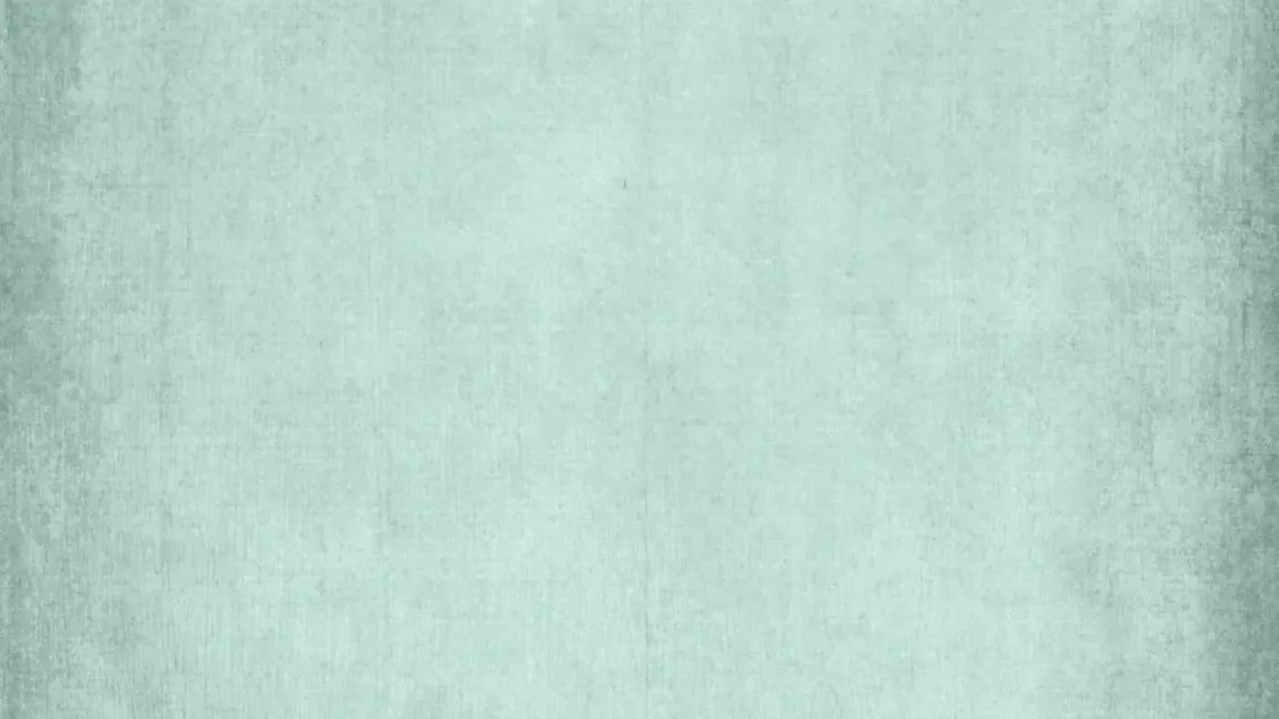 Brayden Mint 14X8 Ultracloth ( 168 X 96 Inch ) Backdrop