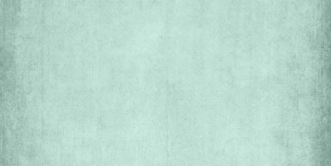 Brayden Mint 20X10 Ultracloth ( 240 X 120 Inch ) Backdrop