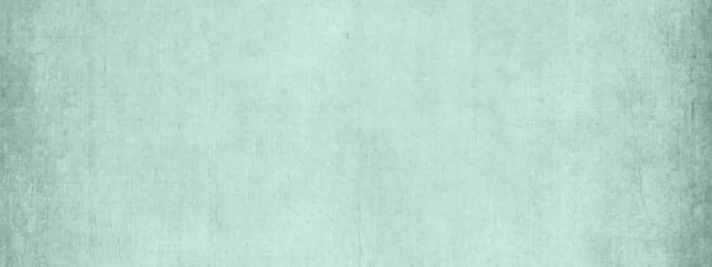 Brayden Mint 20X8 Ultracloth ( 240 X 96 Inch ) Backdrop